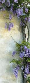 Фотопанно Divino Цветы на стене (C-292) оптом